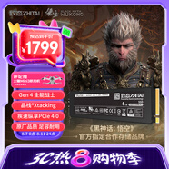 致態(tài)（ZhiTai）長(zhǎng)江存儲(chǔ) 4TB SSD固態(tài)硬盤 NVMe M.2接口 TiPlus7100系列