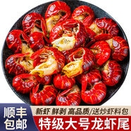 賣魚七郎 特大鮮凍特級(jí)龍蝦尾500g麻辣小龍蝦海鮮水產(chǎn)蝦球固形物含量≥75% 一級(jí)蝦尾無冰凈重1斤110粒/袋 特級(jí)龍蝦尾