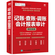記賬·查賬·調(diào)賬 會計(jì)報(bào)表審計(jì)崗位實(shí)戰(zhàn)