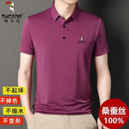 啄木鳥(niǎo)（TUCANO）T恤男2025夏季新款高檔桑蠶絲POLO.衫男薄款透氣免燙無(wú)痕刺繡上衣 粉色【收藏加購(gòu)優(yōu)先發(fā)貨】 2XL 185/100A 建議160-175斤