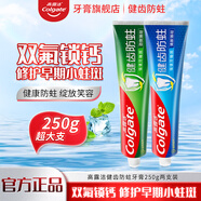高露潔健齒防蛀牙膏勁爽清新薄荷強健牙釉質(zhì)雙氟配方家庭裝 健齒防蛀250g*2支【兩種香型】