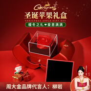周大金 CHOW TAI KING紅瑪瑙小蘋果項(xiàng)鏈女高級(jí)感輕奢飾品生日平安夜圣誕節(jié)禮物送女朋友 紅瑪瑙項(xiàng)鏈【圣誕大蘋果禮盒】