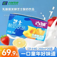 古城酸奶乳酸菌發(fā)酵酸奶250ml古城酸牛奶山西特產(chǎn)乳制營養(yǎng)飲品禮袋 250ml*20盒[芝士味]