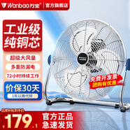 萬寶電風(fēng)扇臺(tái)式趴地扇工業(yè)風(fēng)扇強(qiáng)力趴地風(fēng)扇大風(fēng)量商用臺(tái)地扇工業(yè)除甲醛大功率電扇工廠室內(nèi)落地扇通風(fēng) 【銅線電機(jī)】EF-50G 月光銀（20寸）八檔調(diào)速