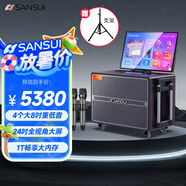 山水（SANSUI）家庭ktv音響套裝 三年K歌會(huì )員版  戶(hù)外廣場(chǎng)舞藍牙音響點(diǎn)歌機卡拉ok一體機吉他樂(lè )器音箱PQ156 1T