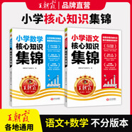 【現(xiàn)貨速發(fā)】王朝霞小學核心知識集錦語文數(shù)學英語基礎知識大盤點一二三四五六年級小學知識大全考試總復習小升初銜接工具書 語文+數(shù)學-2本