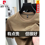 皮爾卡丹（pierre cardin）短袖t恤男夏季新款冰絲休閑透氣速干圓領(lǐng)體恤男裝半袖 土黃 M 建議90-115斤