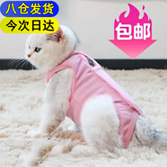 迪普爾 母貓絕育服貓咪手術(shù)服手術(shù)衣寵物貓衣服斷奶服貓貓防舔服恢復服* 粉色 S【適合3-5斤內貓咪】
