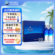 洋河洋河 藍色經(jīng)典 天之藍 46度 480ml*2瓶 禮盒裝  綿柔濃香型白酒