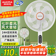 澳柯瑪（AUCMA）電風(fēng)扇交流定頻遙控定時(shí)輕音臥室家用落地空氣循環(huán)扇大風(fēng)量臺(tái)地兩用辦公電扇/冰川白 FS-35D909(Y)