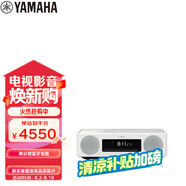 雅馬哈（Yamaha）TSX-N237 復(fù)古藍(lán)牙CD桌面音響兩分頻音箱收音無線充電USB播放時(shí)尚白