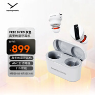 拜雅（beyerdynamic） 費(fèi)蘭朵 FREE BYRD 真無線主動降噪藍(lán)牙耳機(jī)音樂入耳式 安卓蘋果通用 藍(lán)牙5.2 灰色