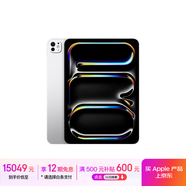 Apple/蘋(píng)果 iPad Pro 11英寸 M4芯片 2024年平板電腦(1TB eSIM版/納米紋理玻璃/MWRV3CH/A)銀色