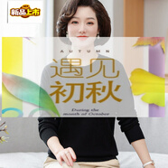初徑媽媽秋裝低領(lǐng)毛衣時(shí)尚中老年女裝內(nèi)搭圓領(lǐng)長(zhǎng)袖針織打底衫上衣薄 黑色 315 L 建議100-115斤