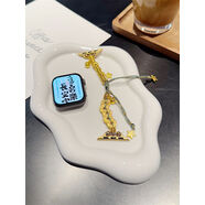 樂諾（LENUO）樂諾新年福氣款適用蘋果手表S10新年款幸運表帶applewatchS987 幸運金幣福氣諸事皆順 45mmiWatch789代送膜透明套