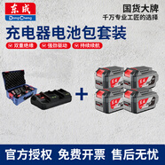 東成鋰電池鋰電電錘角磨電鉆電動(dòng)扳手電圓鋸電動(dòng)工具電池包充電器套裝 DCBCK2060-1充電器電池包套裝（四電一充）