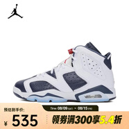 耐克（NIKE）AIR JORDAN 6 RETRO BG 籃球鞋 384665-164 37.5
