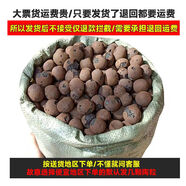 大份量5袋170升 花池墊底專用陶粒疏水透氣保肥減重花盆鋪面陶粒 天津-北京10-30MM 170Lf4