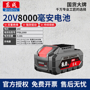東成鋰電池鋰電電錘角磨電鉆電動(dòng)扳手電圓鋸電動(dòng)工具電池包充電器套裝 FFBL2080電池(20V/8.0Ah)