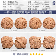 胖東來品質(zhì)南疆石核桃文玩一物一圖精品大粗筋蛤蟆頭南瓜墩四座樓 A72025 全品無(wú)修南疆石獅子頭45m
