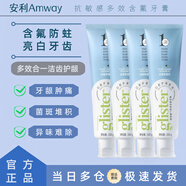 安利（Amway）安利牙膏白茶薄荷口味官網(wǎng)麗齒健多效含氟美白去黃清新口氣200g 新款白茶4支