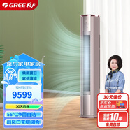 格力（GREE）2匹 京御 一級(jí)變頻 離子凈化 凈菌自潔 立柜式空調(diào)柜機(jī) KFR-50LW/(50587)FNhAb-B1(JDWIFI)