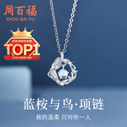 周百?！?000+門(mén)店】銀藍(lán)桉與鳥(niǎo)項(xiàng)鏈女士鎖骨鏈吊墜實(shí)用生日送女友禮物