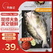 釣魚記叉尾鮰魚1.3斤-1.5斤(贈(zèng)烤魚醬) 二去凈重 冷凍 烤魚紅燒生鮮魚類