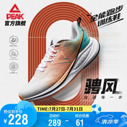 匹克態(tài)極騁風(fēng)1.0跑步鞋男鞋輕便減震透氣中考體測運動(dòng)鞋子男DH410037