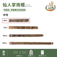 CACTUS雨棍療愈卡杜斯仙人掌雨棍樂(lè )器模擬下雨智利雨棍 [送包紅藍色隨機]直徑約4-5cm長(cháng)5