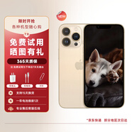 【白條免息】Apple iPhone13pro 蘋(píng)果13pro 全網(wǎng)通二手 二手蘋(píng)果手機 蘋(píng)果13pro【金色】 9新 512G【精美配件套裝】