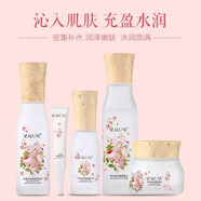 希諾絲（SEALUXE）花蜜水乳液精華面霜4件套綠葉化妝品套裝禮盒 專柜旗艦正品直營 水乳霜精華眼霜5件套
