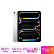 Apple/蘋果 iPad Pro 13英寸 M4芯片 2024年新款平板電腦(256G eSIM版/標(biāo)準(zhǔn)玻璃/MVY23CH/A)銀色