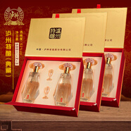 瀘州特釀酒 典藏 52度 濃香型白酒 500ml×6瓶 3禮盒整箱裝 商務(wù)送禮 52%vol 500mL 6瓶 /3盒/箱 每盒配1禮品袋