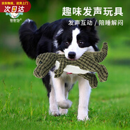 憨憨寵 狗玩具寵物狗狗玩具 發(fā)聲磨牙耐咬幼犬小型犬用品金毛泰迪玩具 綠色小恐龍