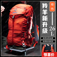 STRONG OXYGEN 強氧 羚羊26升 雙肩背包 登山包36 戶外 徒步露營旅行通勤郊游 25年升級款26升橙色 均碼