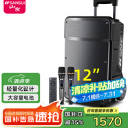 山水（SANSUI）山水E15戶外移動(dòng)k歌唱歌廣場(chǎng)舞拉桿藍(lán)牙唱歌點(diǎn)歌室外演出大音響專業(yè)大功率聲音大音箱官方 A12(12吋音響+雙話筒)