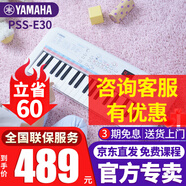 雅馬哈（YAMAHA）兒童電子琴PSS-E30/F30/A50寶寶啟蒙音樂玩具嬰幼兒早教鋼琴 PSS-E30官方標配+全套配件