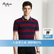 ARTAO/雅濤男裝夏季短袖T恤男純棉條紋商務翻領T恤 紫色 48/M