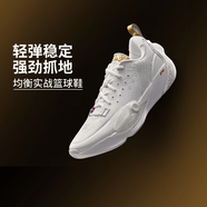 李寧全城13代籃球鞋男25新款韋德之道ALLCITY減震?專(zhuān)業(yè)比賽鞋ABAV017 -2標準白 冠軍之路 42