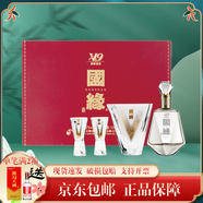 今世緣國緣V9酒具禮盒 清雅醬香型白酒52度100ML精致小酒版商務(wù)品鑒擺柜 52%vol 100mL 1瓶 國緣V9小酒禮盒