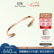 丹尼爾惠靈頓（DanielWellington）dw手鐲女時(shí)尚首飾玫瑰金情侶對(duì)鐲七夕禮物DW00400003