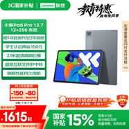 聯(lián)想小新PadPro12.7 2025款平板電腦 國家補貼15% 2.9K高刷全面屏 娛樂(lè )學(xué)習 10200mAh 12+256G大象灰