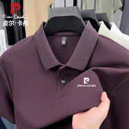 皮爾卡丹（pierre cardin）短袖t恤高端商務(wù)職場(chǎng)男士2025夏季新款翻領(lǐng)純棉潮流薄款冰絲體恤 深紫色 XL （130-145斤）