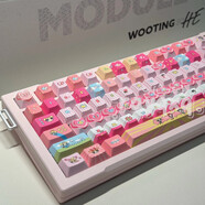 WOOTING全新滿改wooting80he飛天小女警鋁殼 滿改頂配 80he滿改飛天小女警順豐
