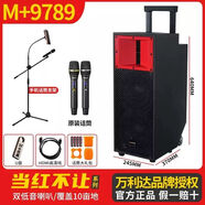 萬利達音響當紅不讓M+9789直播K歌戶外廣場舞大功率移動拉桿音箱 M+9789