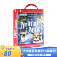 英文原版 Home School Box Sets 學(xué)樂(lè )家庭教育套裝 寶寶啟蒙漫畫(huà)讀物 兒童繪本 Animal Antics