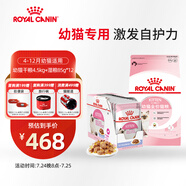 皇家幼貓 干濕搭配   K36 4.5KG+ KJP 85G*12