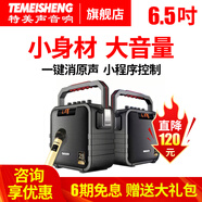 特美聲（TEMEISHENG） SL06-26廣場(chǎng)舞戶(hù)外便攜音響家用移動(dòng)K歌手提藍牙低音小型音箱 6.5寸標配+1支無(wú)線(xiàn)話(huà)筒+大禮包 (贈送好禮)