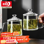 青蘋果泡茶杯帶蓋 無鉛玻璃把手水杯玻璃杯商務(wù)會議家用350ML兩只裝